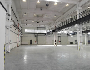 Magazyn, hala na sprzedaż, Łódź Przybyszewskiego 91/99, 2 150 000 zł, 430 m2, 22-1