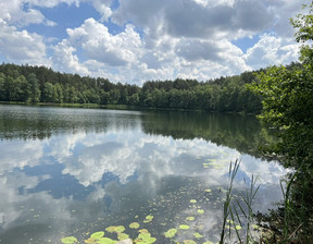 Działka na sprzedaż, Olsztyński Olsztynek Świerkocin, 850 000 zł, 10 451 m2, 875473