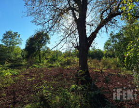 Budowlany na sprzedaż, Żyrardowski Mszczonów Budy-Strzyże, 190 000 zł, 1700 m2, 243