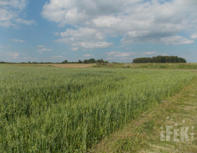 Rolny na sprzedaż, Żyrardowski Puszcza Mariańska Stary Łajszczew, 495 000 zł, 50 406 m2, 290