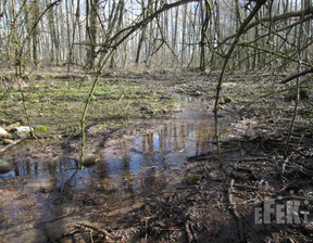 Działka na sprzedaż, Żyrardowski Puszcza Mariańska Stary Łajszczew, 200 000 zł, 9740 m2, 273