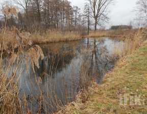 Rolny na sprzedaż, Żyrardowski Puszcza Mariańska Stary Łajszczew, 405 000 zł, 5272 m2, 260