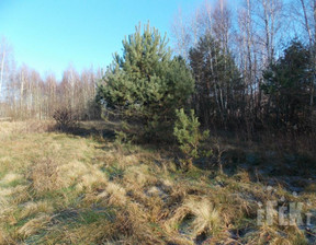 Rolny na sprzedaż, Żyrardowski Puszcza Mariańska Bartniki, 170 300 zł, 13 100 m2, 246