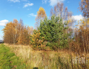 Rolny na sprzedaż, Żyrardowski Puszcza Mariańska Stary Łajszczew, 539 000 zł, 44 500 m2, 211