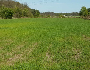 Działka na sprzedaż, Sochaczewski (Pow.) Iłów (Gm.) Miękiny, 72 000 zł, 1800 m2, 24085021