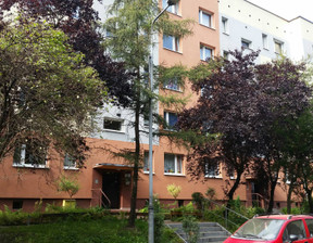 Mieszkanie do wynajęcia, Katowice Koszutka Wiązowa, 2000 zł, 51,5 m2, 19018660
