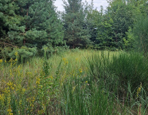 Działka na sprzedaż, Nowodworski Leoncin Nowe Grochale, 123 000 zł, 1007 m2, 522/2522/OGS