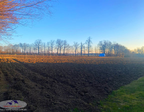 Budowlany na sprzedaż, Dąbrowski Olesno Pilcza Żelichowska, 47 500 zł, 1187 m2, JSN-GS-2937-1