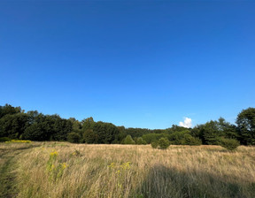 Budowlany na sprzedaż, Lubański Olszyna, 90 000 zł, 1000 m2, 375/14328/OGS