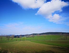 Działka na sprzedaż, Kamiennogórski Marciszów Pustelnik, 144 000 zł, 932 m2, 290/14328/OGS