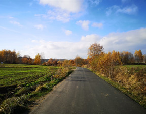 Działka na sprzedaż, Kamiennogórski Kamienna Góra Pisarzowice, 319 000 zł, 5700 m2, 108/14328/OGS