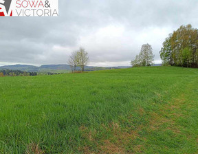 Budowlany na sprzedaż, Kłodzki Nowa Ruda Bartnica, 210 000 zł, 3173 m2, 668/14328/OGS