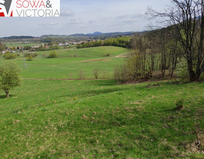 Działka na sprzedaż, Wałbrzyski Boguszów-Gorce Stary Lesieniec, 295 000 zł, 7168 m2, 647/14328/OGS