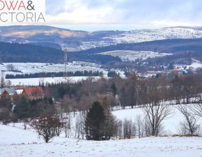 Działka na sprzedaż, Kłodzki Nowa Ruda Bartnica, 199 000 zł, 3009 m2, 620/14328/OGS