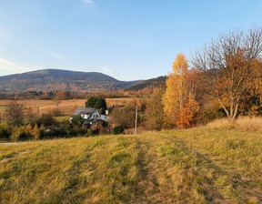 Działka na sprzedaż, Kłodzki Nowa Ruda Jugów, 650 000 zł, 9070 m2, 205/14328/OGS