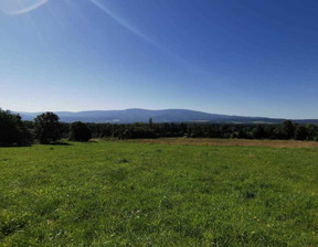 Działka na sprzedaż, Lwówecki Mirsk Giebułtów, 199 000 zł, 2060 m2, 548/14328/OGS