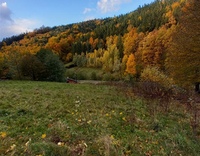 Działka na sprzedaż, Wałbrzyski Walim Michałkowa, 290 000 zł, 8830 m2, 197/14328/OGS