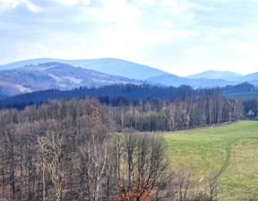 Budowlany na sprzedaż, Wałbrzyski Walim Zagórze Śląskie, 287 000 zł, 2400 m2, 523/14328/OGS