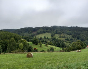 Działka na sprzedaż, Kłodzki Nowa Ruda Ludwikowice Kłodzkie, 190 000 zł, 3009 m2, 390/14328/OGS