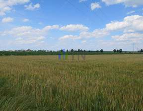 Działka na sprzedaż, Wrocławski Czernica Chrząstawa Wielka, 225 000 zł, 901 m2, 183470345