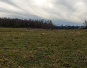 Działka na sprzedaż, Lwówecki (pow.) Lubomierz (gm.) Oleszna Podgórska, 735 000 zł, 147 000 m2, JGJP-2236