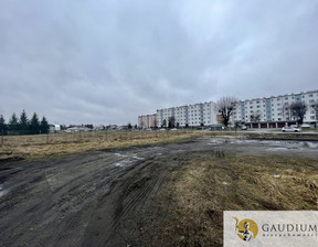 Działka do wynajęcia, Starogardzki Starogard Gdański Zielona, 6500 zł, 5911 m2, 9/8402/OGW