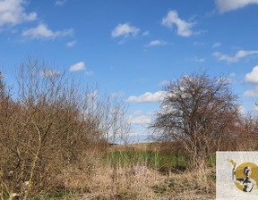 Działka na sprzedaż, Starogardzki Starogard Gdański Klonówka Kościelna, 130 000 zł, 2512 m2, 353/8402/OGS