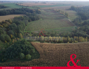 Działka na sprzedaż, Brodnicki Bartniczka, 303 030 zł, 2331 m2, DH999736