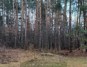 Działka na sprzedaż, Garwoliński Wilga Cyganówka, 150 000 zł, 18 700 m2, 800/836/OGS