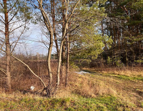 Działka na sprzedaż, Otwocki Wiązowna Żanęcin Trakt Lubelski, 580 000 zł, 3885 m2, 230/16245/OGS