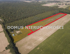 Działka na sprzedaż, Brzeziński Brzeziny Rozworzyn, 850 000 zł, 21 795 m2, DMU-GS-666