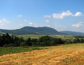 Działka na sprzedaż, Krośnieński (Pow.) Dukla (Gm.) Jasionka, 35 400 zł, 1600 m2, 257