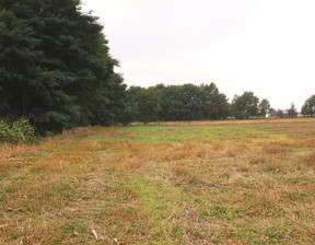 Rolny na sprzedaż, Kaliski Opatówek Chełmce, 540 000 zł, 12 952 m2, 1069