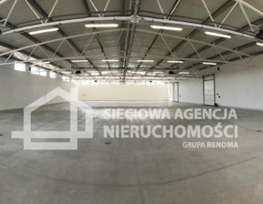 Magazyn do wynajęcia, Gdańsk Letnica, 18 200 zł, 520 m2, DJ119884