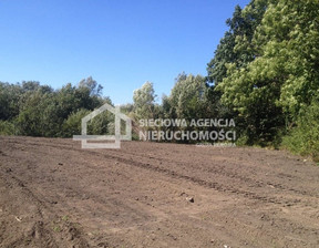 Rolny na sprzedaż, Gdański Pruszcz Gdański Rekcin, 800 000 zł, 37 675 m2, DJ512190