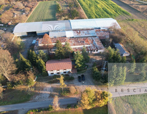 Fabryka, zakład do wynajęcia, Tarnowski Pleśna Świebodzin, 5000 zł, 5000 m2, 108