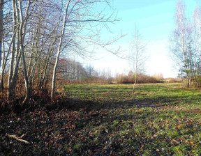 Budowlany na sprzedaż, Poznań Stare Miasto Naramowice Diamentowa, 916 000 zł, 2999 m2, 160840183