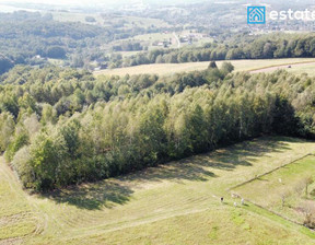 Działka na sprzedaż, Rzeszowski Chmielnik Borówki, 250 000 zł, 2742 m2, 457/5638/OGS