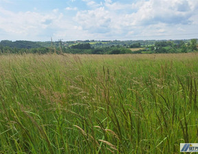 Działka na sprzedaż, Krakowski Wielka Wieś, 990 000 zł, 17 000 m2, GS-13000-17