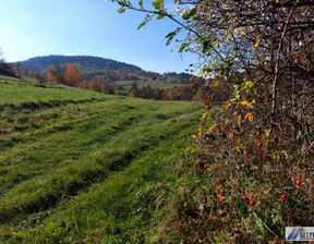 Działka na sprzedaż, Myślenicki Tokarnia, 192 000 zł, 16 209 m2, GS-11632-9