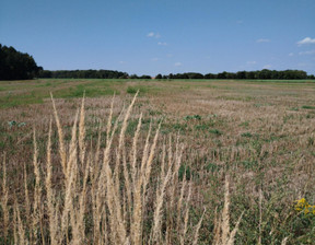 Działka na sprzedaż, Tarnogórski Zbrosławice, 200 000 zł, 800 m2, 18171