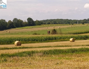 Działka na sprzedaż, Tarnogórski Zbrosławice, 250 000 zł, 855 m2, 18103