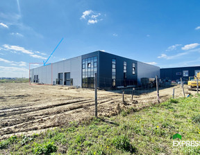 Magazyn, hala do wynajęcia, Poznański Swarzędz Jasin, 32 900 zł, 1365 m2, 204/4158/OHW