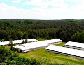 Komercyjne na sprzedaż, Międzyrzecki Skwierzyna Spokojna, 3 000 000 zł, 5200 m2, 95/4158/OOS