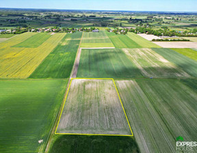 Działka na sprzedaż, Łęczyński Cyców Świerszczów, 66 000 zł, 9900 m2, 1031/4158/OGS