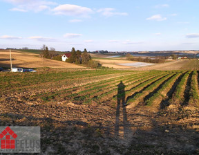 Rolny na sprzedaż, Proszowicki Siedliska, 150 000 zł, 4300 m2, 566970