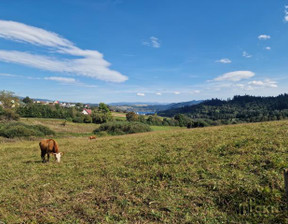 Działka na sprzedaż, Nowotarski Łapsze Niżne Falsztyn Królowej Polski, 1 200 000 zł, 6000 m2, 80621