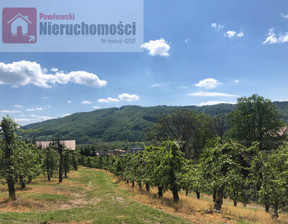 Rolny na sprzedaż, Nowosądecki Łącko Czerniec, 250 000 zł, 1859 m2, 3580