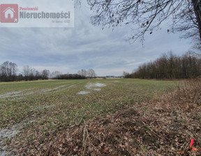 Rolny na sprzedaż, Krakowski Skawina Wielkie Drogi, 160 000 zł, 3000 m2, 3786