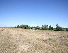 Działka na sprzedaż, Toruński Zławieś Wielka Zławieś Mała, 80 000 zł, 1000 m2, 362/14150/OGS